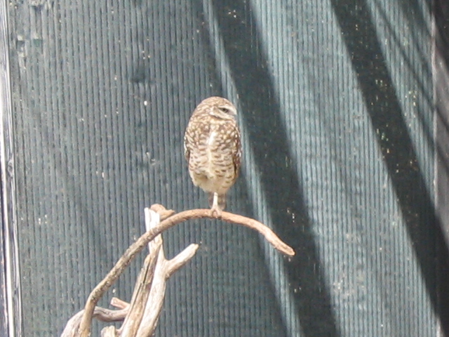 618x457 pixels (178K)